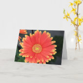 Gerbera Karte (Gelbe Blume)