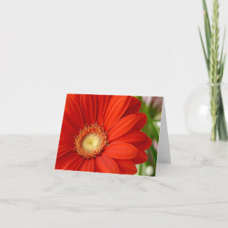 Gerbera Karte