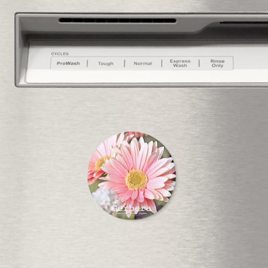 Gerbera Magnet (In Situ (Geschirrspüler))
