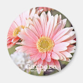 Gerbera Magnet (Vorne)