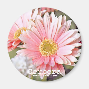 Gerbera Magnet