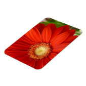 Gerbera Magnet (Linke Seite)