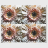 GERBERA MARGARITE GESCHENKPAPIER (Flach)