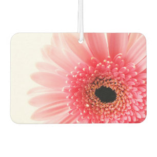 Gerbera-Margerite Autolufterfrischer