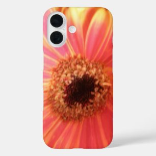 Gerbera-Margerite Blume iPhone 16 Hülle