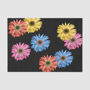 Gerbera-Margerite Farbige einfache schöne Gerber Seidenpapier