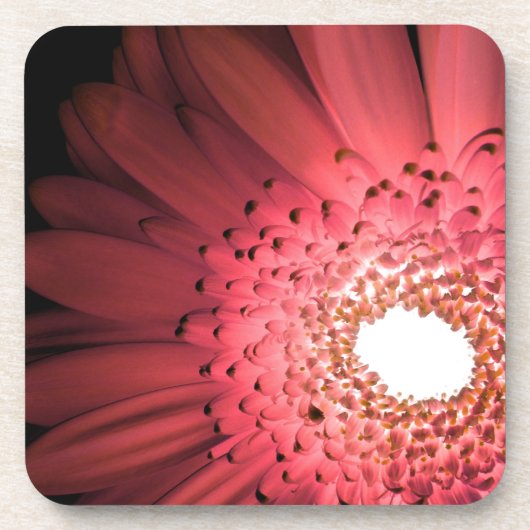 Gerbera-Margerite Getränkeuntersetzer (Vorderseite)