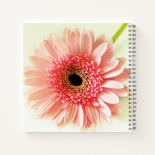 Gerbera-Margerite Notizblock
