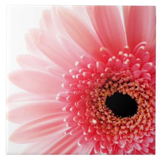 Gerbera-Margerite Poster Fliese (Vorderseite)