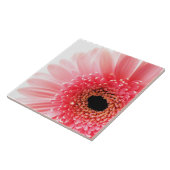 Gerbera-Margerite Poster Fliese (Seite)
