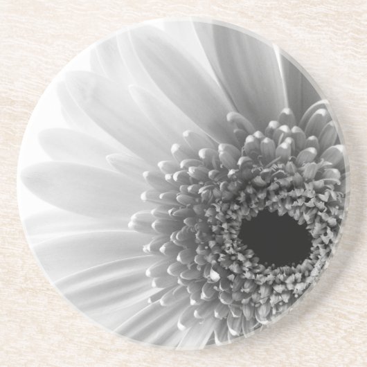 Gerbera-Margerite Sandstein Untersetzer (Vorne)