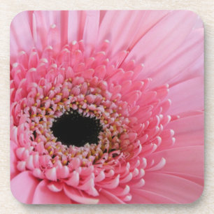 Gerbera-Margerite Untersetzer
