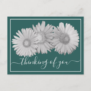 Gerbera-Margeriten Cyan Hintergrund Ich denke an D Postkarte