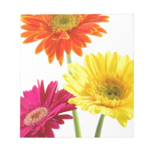 Gerbera-Marguerite Notizblock
