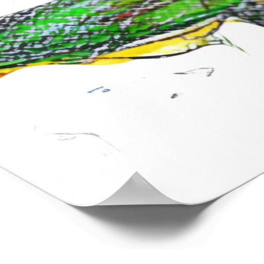 Gerbera-Marguerite Poster (Ecke)