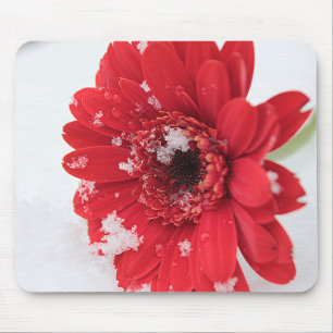 Gerbera Mousepad