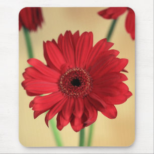 Gerbera Mousepad