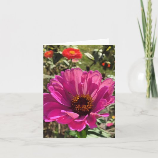 Gerbera notecard (innen leer) (Vorderseite)
