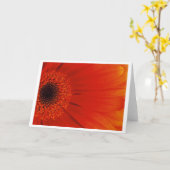 Gerbera - Orange Karte (Gelbe Blume)