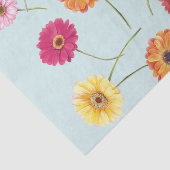 Gerbera,pink,red,orange,yellow wrapping seidenpapier (Detail)