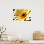 Gerbera Poster (Küche)
