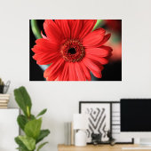 Gerbera Poster (Heimbüro)