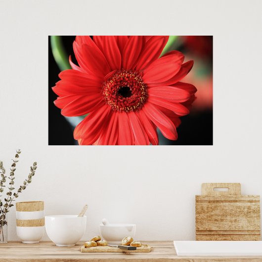 Gerbera Poster (Küche)