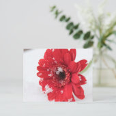 Gerbera Postkarte (Stehend Vorderseite)