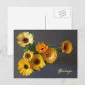 Gerbera Postkarte (Vorne/Hinten)