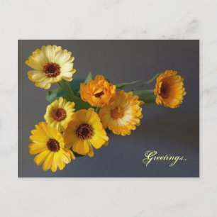 Gerbera Postkarte
