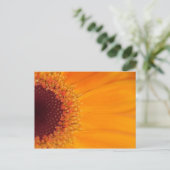 Gerbera Postkarte (Stehend Vorderseite)