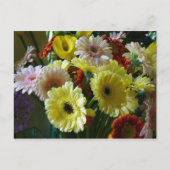 Gerbera Postkarte (Vorderseite)