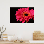 Gerbera Print Poster (Küche)