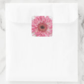 Gerbera Rosa Design Quadratischer Aufkleber (Tasche)