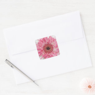 Gerbera Rosa Design Quadratischer Aufkleber