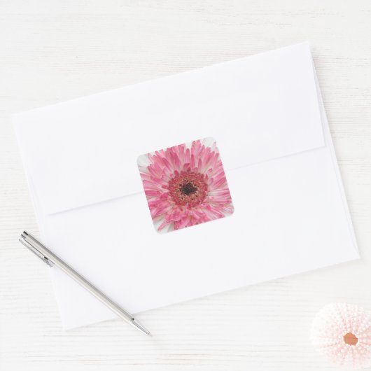 Gerbera Rosa Design Quadratischer Aufkleber (Umschlag)