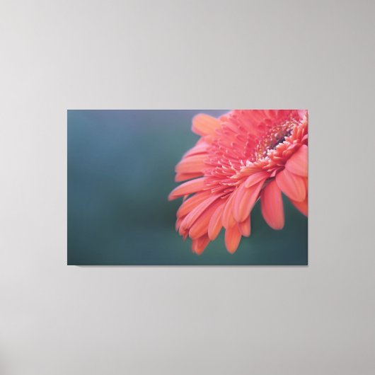 Gerbera Rote Blume Leinwanddruck (Vorderseite)