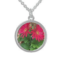 Gerbera