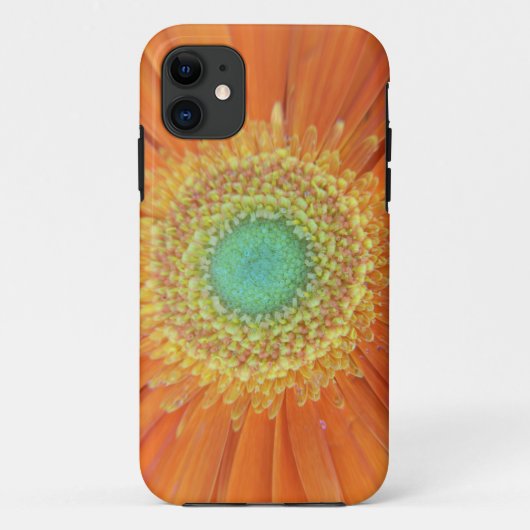 Gerbera Sun Case-Mate iPhone Hülle (Rückseite)