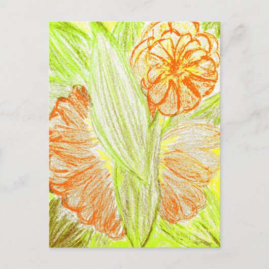 Gerbera und Aspidistra elatior, Postkarte (Vorderseite)