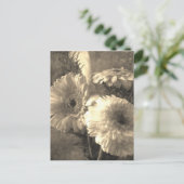Gerbera und Calla 1 antiquiert Postkarte (Stehend Vorderseite)