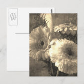 Gerbera und Calla 1 antiquiert Postkarte (Vorne/Hinten)