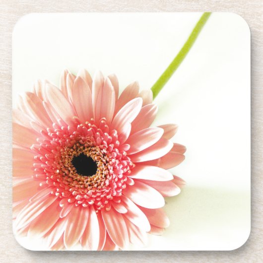 Gerbera Untersetzer (Vorderseite)