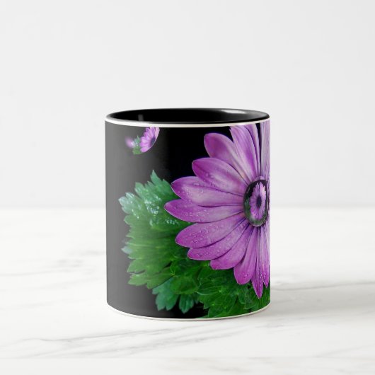 Gerbera Zweifarbige Tasse (Mittel)