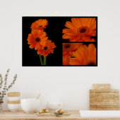 Gerberacollage Poster (Küche)