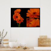 Gerberacollage Poster (Küche)