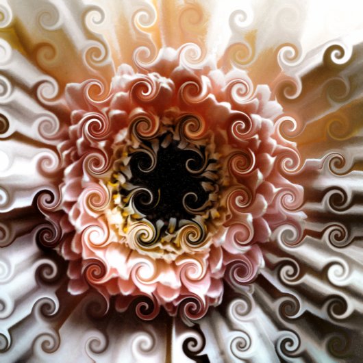 GERBERAS FLASCHENÖFFNER