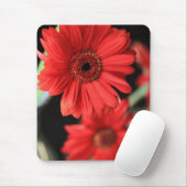 Gerberas Mousepad (Mit Mouse)