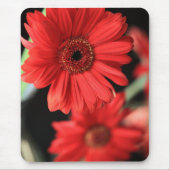 Gerberas Mousepad (Vorne)
