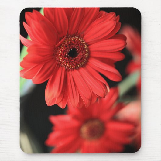 Gerberas Mousepad (Vorne)